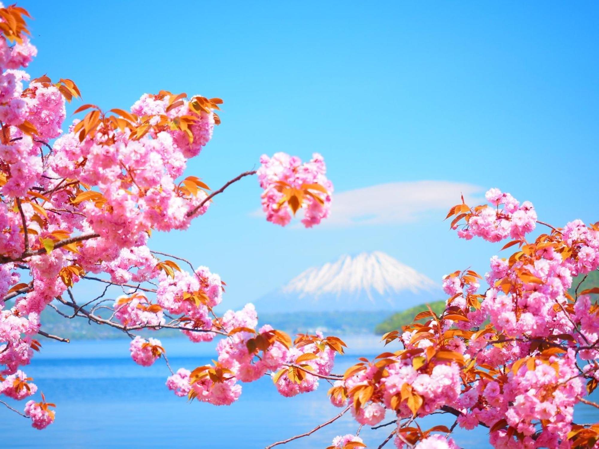 Hotel Cocoa - Vacation Stay 24777V Toyoura 외부 사진